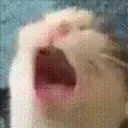 Aaaa emoji