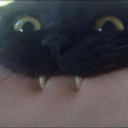 Black Cat Peek Teeth emoji