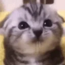 More emoji