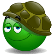 Turtle Helmet emoji