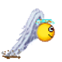 Dragging Wings emoji