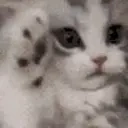 Happycat emoji