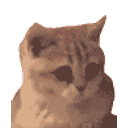 Nodding Kitty emoji