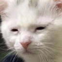 Awakebutatwhatcost emoji