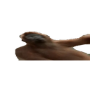 Widemonkepls emoji