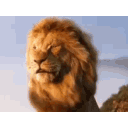 Happy Lion emoji