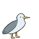 Gull Scream Meme emoji