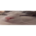 Pleep emoji