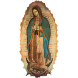 La Guadalupana emoji