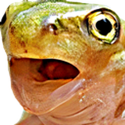 Frog Open Mouth Surprised emoji