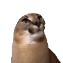 Floppajam emoji