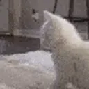 Cattwerk emoji