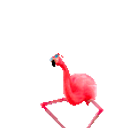 Flamingo Dance emoji