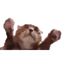 Clappi emoji