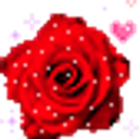 Red Rose emoji