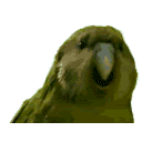 Partyparot emoji