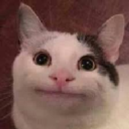 Beluga Cat emoji