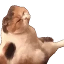 Nyo emoji