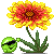 Arizona Sunflower emoji