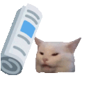 Catbonk emoji