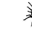 Crawling Tarantula emoji