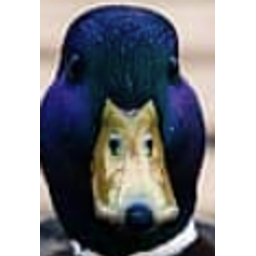 What Duck emoji