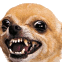 Impatient Wait Doggo emoji