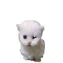 Ewphop emoji