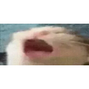 Aaaaaaaaaaaa emoji