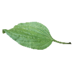 Podorozhnik emoji