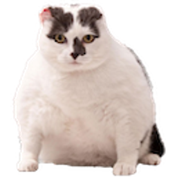 Chonk 1 emoji