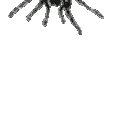 Spider emoji