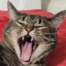 Catshadowyell emoji