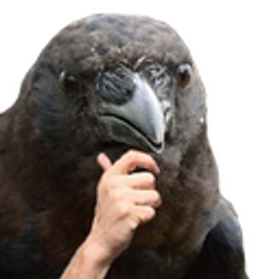 Birb Thinking emoji
