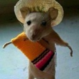 El Ratito emoji