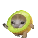 Kiwicatrune emoji