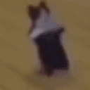 Catspin emoji