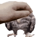 Petpet Wetowl emoji