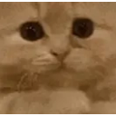 Please emoji maker