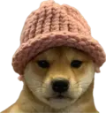 Dogwifhat emoji