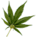 Rolling Joint emoji