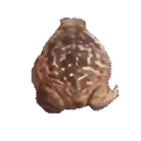 Frogspin emoji