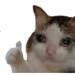 Thumb Up Cat emoji