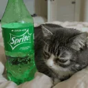 Alsprite emoji