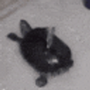 Turtle Sink Dance emoji