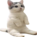 Catsittingverycomfortable emoji