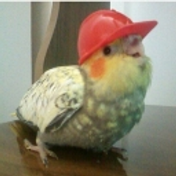 Working Bird Hardhat emoji