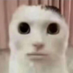Facecat0 emoji