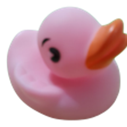 Pink Duck emoji