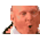 Ballmer Parrot emoji